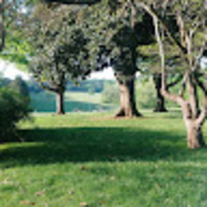 Meet your Posher, Connor